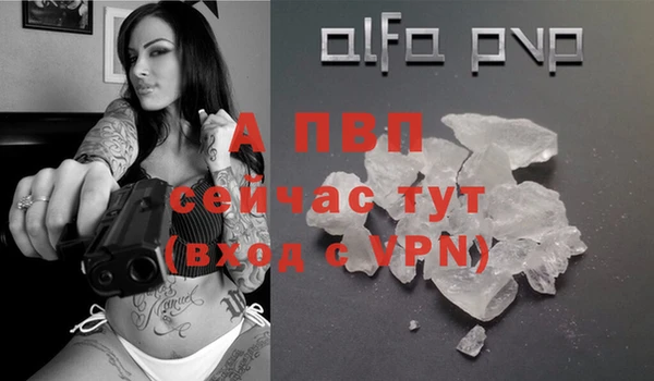 гашик Беломорск