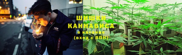 каннабис Белокуриха