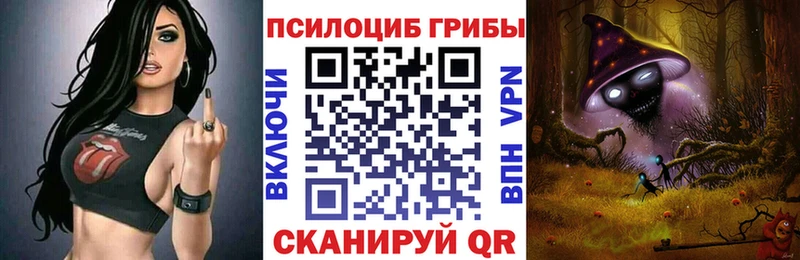 магазин  наркотиков  Волжск  Галлюциногенные грибы Cubensis 